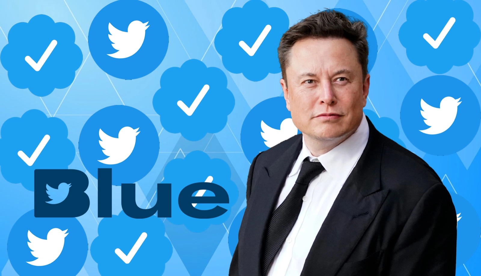 ELO MUSK - TWITTER