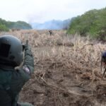 “Se ha controlado el 70% del incendio en Isla Salamanca”: Gobernación del Atlántico