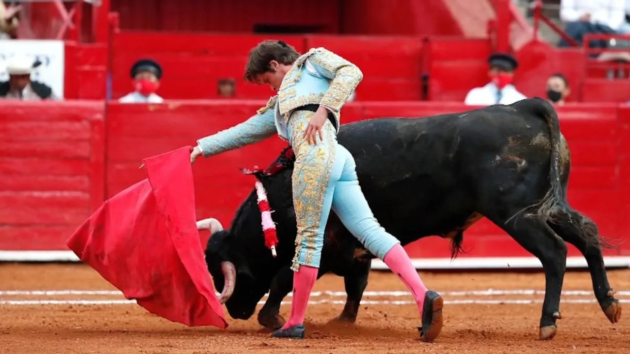 Proyecto que prohíbe las corridas de toros en Colombia pasó a sanción ...
