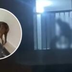 Rescatan a perro golpeado brutalmente en conjunto residencial de Cajicá: “Iniciarán proceso contra el agresor”