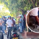 Intercambio de disparos en medio de atraco cerca del Zoológico de Barranquilla: “Hay un delincuente herido”