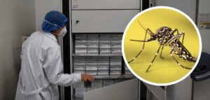 Gobierno estrecha vigilancia del brote de fiebre amarilla: hay vacunación masiva