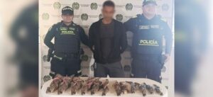 “Le encontraron en su poder 12 babillas”: captura por aprovechamiento ilícito de los recursos naturales en Repelón