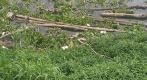 Hallan cuerpo sin vida en el río Magdalena, en Barranquilla