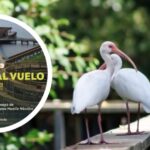 “Versos al vuelo”: el arte y la naturaleza se unirán durante recital en el Ecoparque Ciénaga de Mallorquín