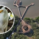 Ecoparque Ciénaga de Mallorquín se sumará al conteo mundial de aves en el “Global Big Day”