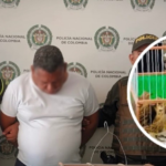“¡Cruel!”: hombre transportaba 50 canarios en una jaula diminuta y en una caja de cartón