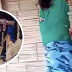 Indignación por agresión contra menor indígena en Risaralda: “No se pueden escudar en tradiciones ancestrales”