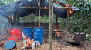 “Pertenecían al Clan del Golfo”: Policía destruye 13 laboratorios para producir cocaína en Tierralta, Córdoba