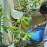 Con actividades en parques y colegios, Barranquilla se une al Día Mundial del Medioambiente