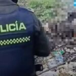 ¡Brutal!: hallan cuerpo calcinado en un basurero del barrio Nelson Mandela, en Cartagena