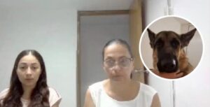 Condenan a madre e hija que le prendieron fuego a un perrito en Sincelejo “para que no les ladrara”