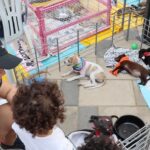 Décima edición de la Feria PetLovers en Barranquilla: bienestar animal, experiencias navideñas y mucho más