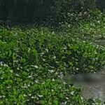 Hallan una persona muerta en el caño de la Auyama, a la altura del barrio Rebolo