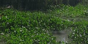 Hallan una persona muerta en el caño de la Auyama, a la altura del barrio Rebolo