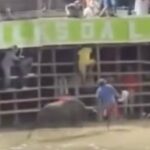 Otra vida que se pierde en corralejas: al Topo su experticia le falló y recibió cornadas mortales de un toro en Córdoba