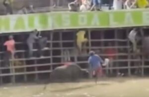 Otra vida que se pierde en corralejas: al Topo su experticia le falló y recibió cornadas mortales de un toro en Córdoba