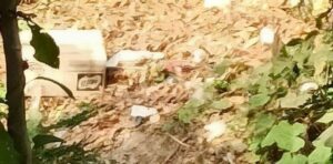 Mujer fue asesinada en zona enmontada del arroyo San Blas, en Malambo