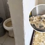 Destruyeron 52 kilos de queso y ordenaron cierre de negocio en Soledad: esta fue la razón