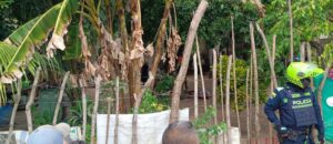 Dos personas fueron asesinadas a bala en el patio de una vivienda del corregimiento de Caracolí, Malambo