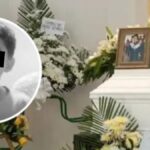 ¿Qué falló? La historia del niño Kevin Acosta, cuya muerte causa dolor en Colombia