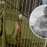 Cinco atracadores le quitaron la vida a un joven en el barrio Vista Hermosa, en Soledad