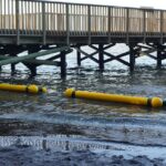 Alcaldía de Barranquilla implementa retenedores flotantes para proteger el manglar de la Ciénaga de Mallorquín