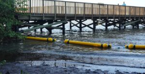 Alcaldía de Barranquilla implementa retenedores flotantes para proteger el manglar de la Ciénaga de Mallorquín