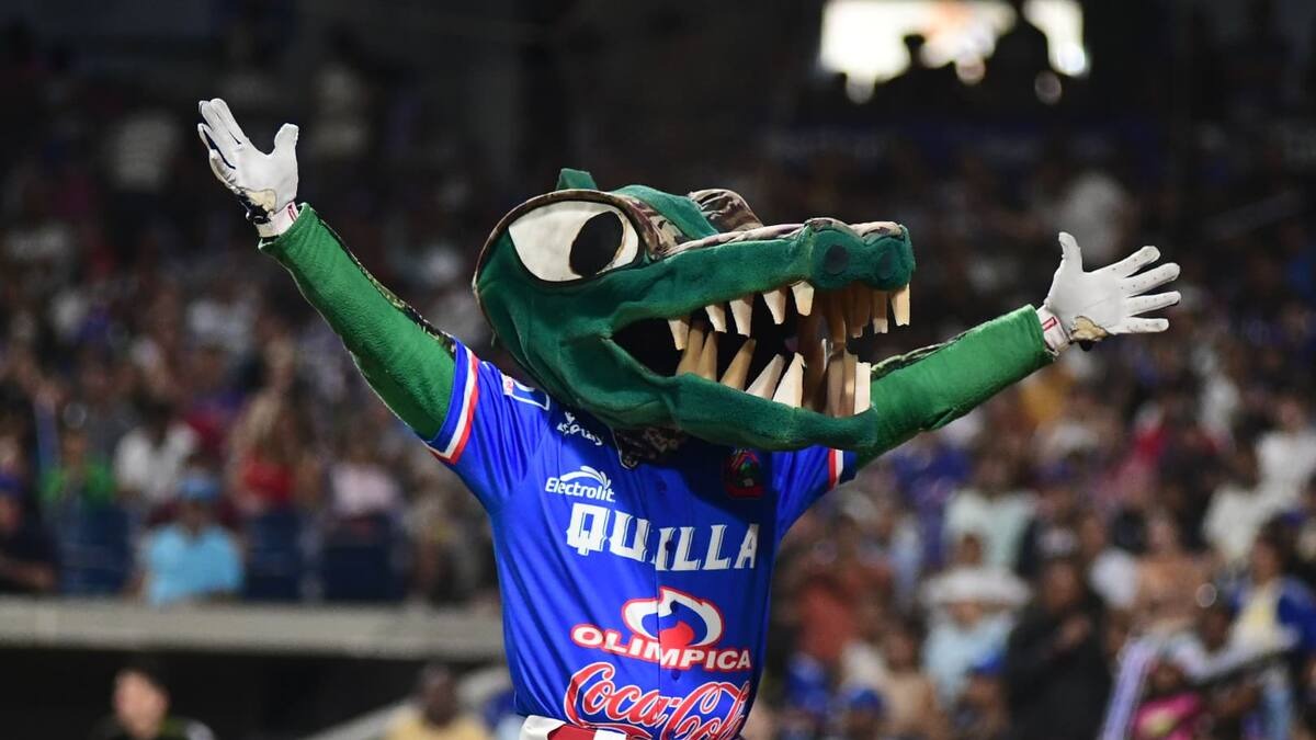 ¡Vamos, Caimanes de Quilla!: el reptil disputará hoy la final contra Navegantes del Magallanes