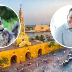 ¡Se metieron los therians! En Cartagena hay convocatoria y el alcalde Dumek Turbay les mandará a la Umata