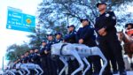 ¡Nada de ‘therians’! En México le apuntan a los perros robots para prestar vigilancia en el Mundial 2026