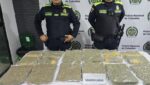 ¡Lo que habían camuflado en un bus! Policía incautó varios kilos de marihuana en la Terminal de Transportes