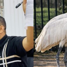 Proyecto impulsado por el concejal Alexis Castillo busca formar a estudiantes de Barranquilla en respeto y cuidado de los animales