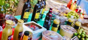 Si te gusta lo dulce, Campeche tiene el plan perfecto para el fin de semana con el Festival de la Ciruela