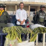 Policía incauta más de 2.600 unidades de palma de cera en pleno Domingo de Ramos en Barranquilla