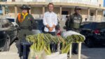 Policía incauta más de 2.600 unidades de palma de cera en pleno Domingo de Ramos en Barranquilla