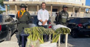 Policía incauta más de 2.600 unidades de palma de cera en pleno Domingo de Ramos en Barranquilla