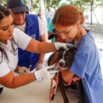 Más de 150 perros y gatos atendidos en jornada de bienestar animal en Los Robles, Soledad