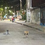 “Por robarle el celular”: murió joven que había sido herido en el barrio El Bosque