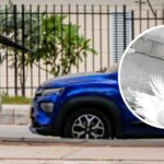 ¿Un final evitable? Barranquilla Verde confirma muerte de cigüeña jabirú en Rebolo