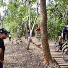 En el Día Internacional de los Bosques, Barranquilla celebra su red de ecosistemas urbanos