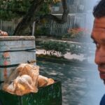 “Del rebusque a la formación”: aprendiz del SENA transforma su vida con el estudio nocturno