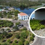 “Una vez más, Barranquilla es reconocida como Ciudad Árbol del Mundo”: alcalde Char