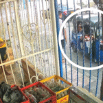 “Iban en un motocarro”: sujetos perpetraron atentado en Hipódromo, Soledad