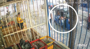 “Iban en un motocarro”: sujetos perpetraron atentado en Hipódromo, Soledad