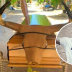 “Los toros nunca pudieron con él, pero los criminales sí”: el triste final del Superman de las Corralejas en El Retén