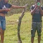 Confirman hallazgo sin vida de cuatro jóvenes secuestrados en zona rural de Jamundí