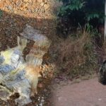 De las críticas a la acción eficaz: Ejército frustra nuevo atentado terrorista en el Cauca