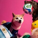 Adidas sacó una línea perruna para que tu mejor amigo se contagie de la Copa del Mundo
