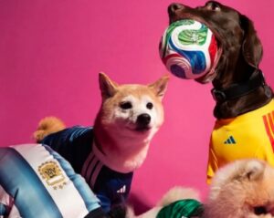 Adidas sacó una línea perruna para que tu mejor amigo se contagie de la Copa del Mundo